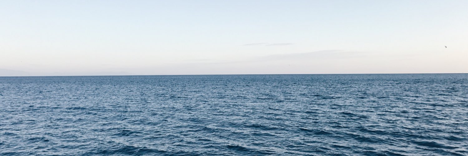 wonder_aaaa's profile banner image