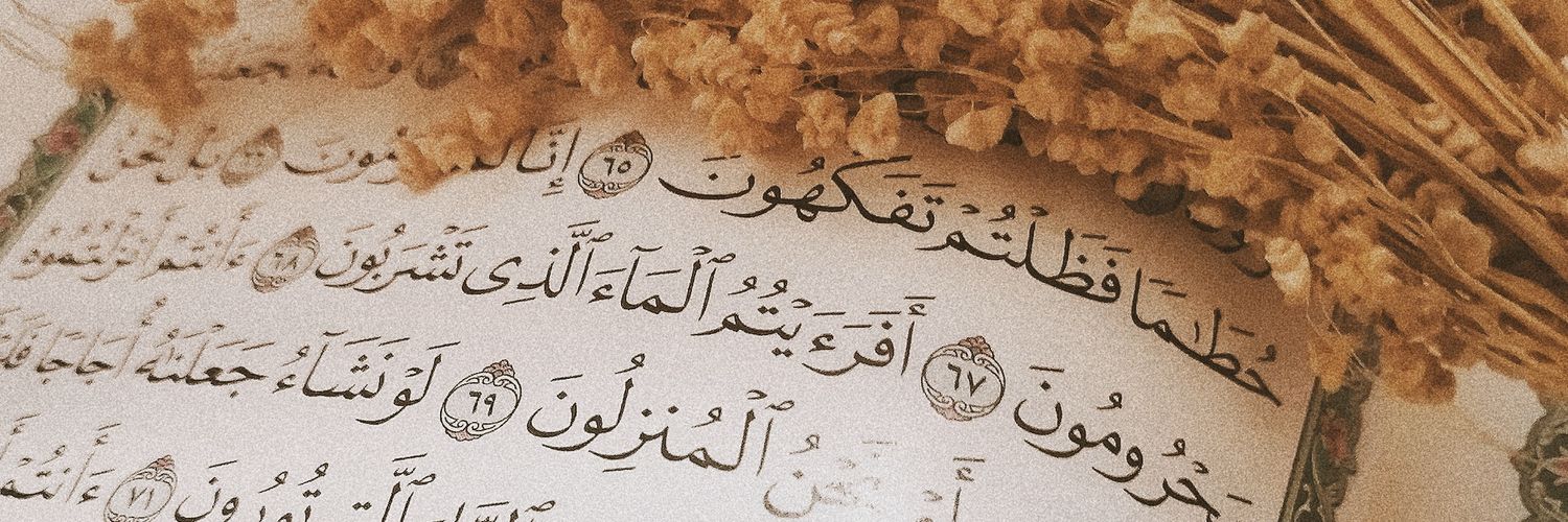 Δvɪ banner