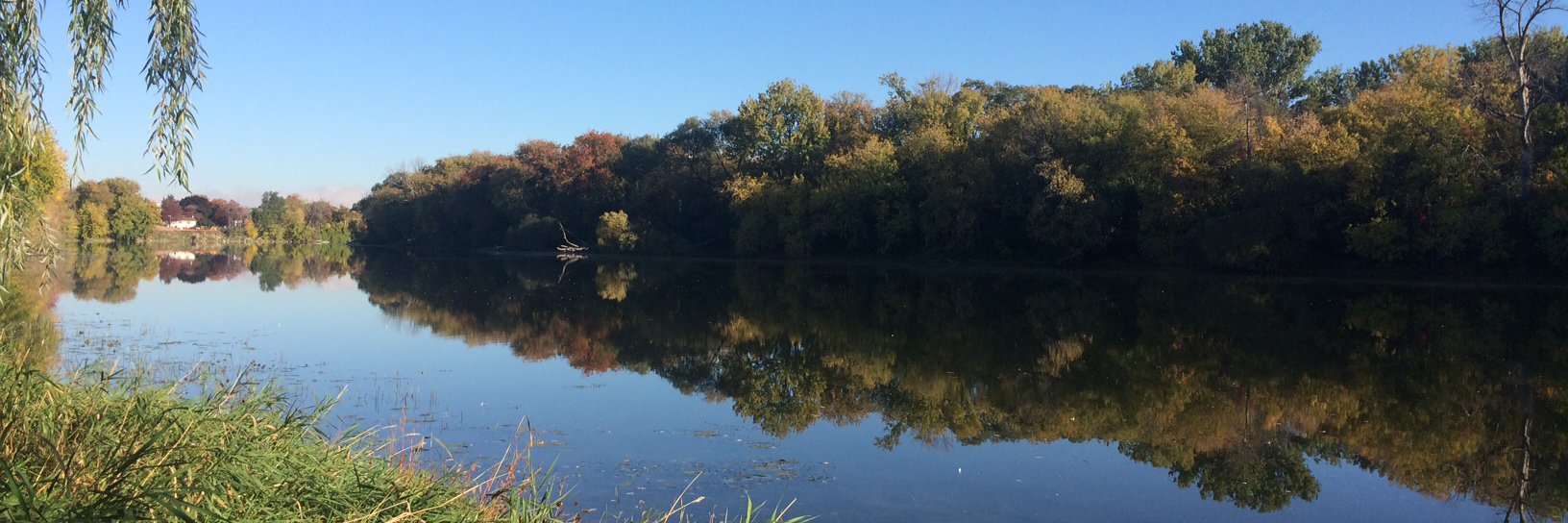 Phosphorus Hub 🌱 banner