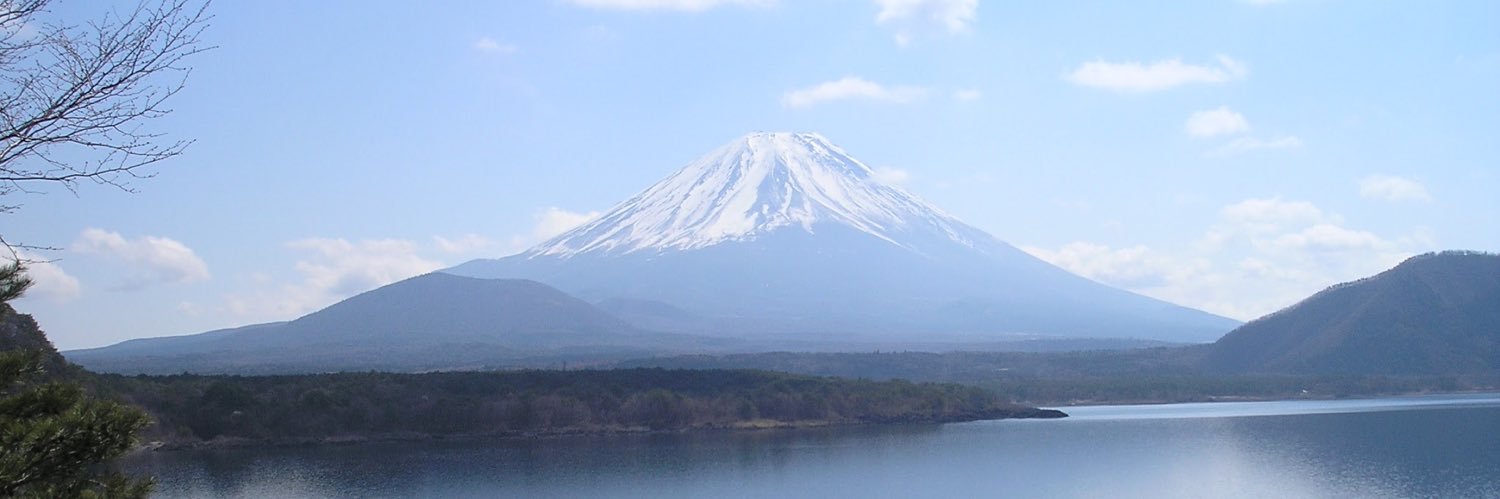 yully (※固定ポストの署名にご協力ください✍️) banner