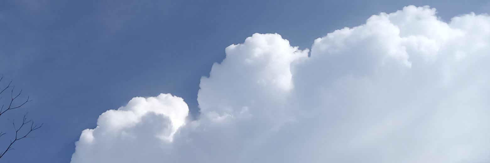 tarixky_'s profile banner image