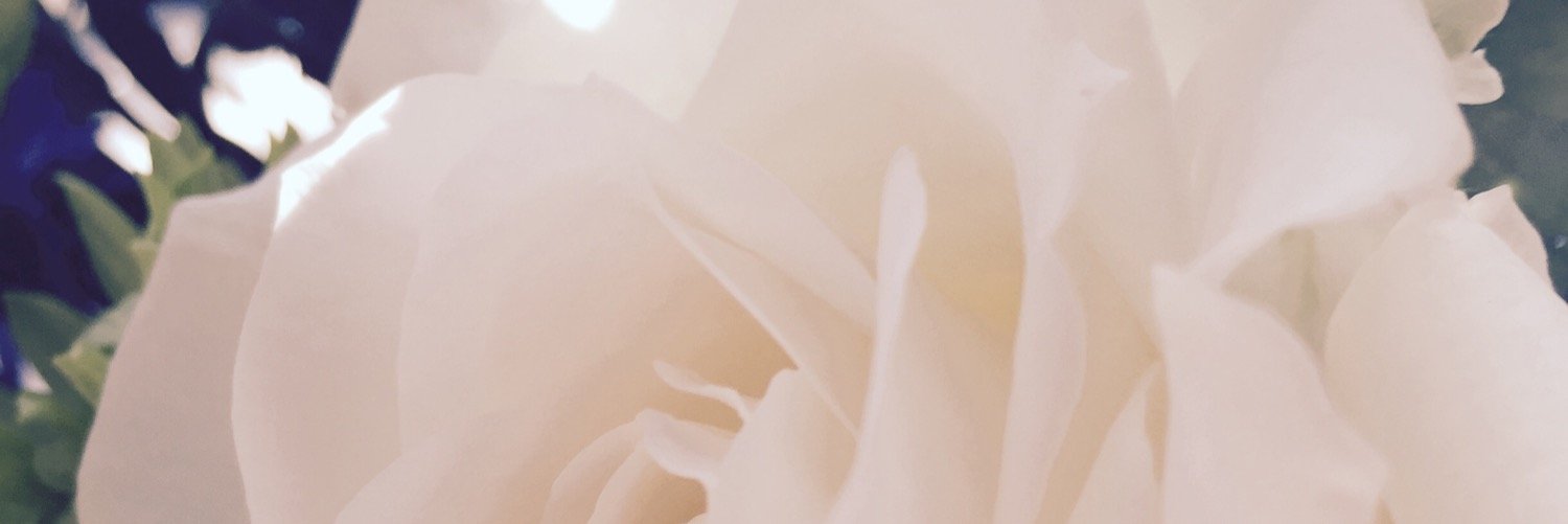 Recca_Bidler's profile banner image
