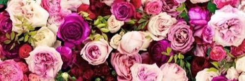 Susy Flores banner