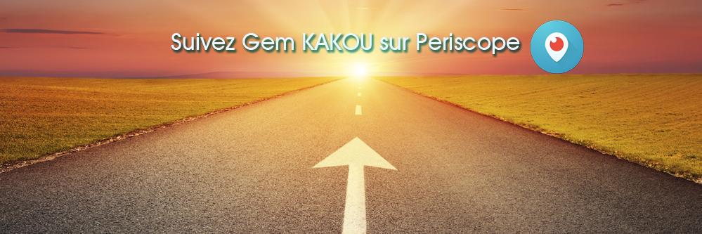 gemkakou's profile banner image