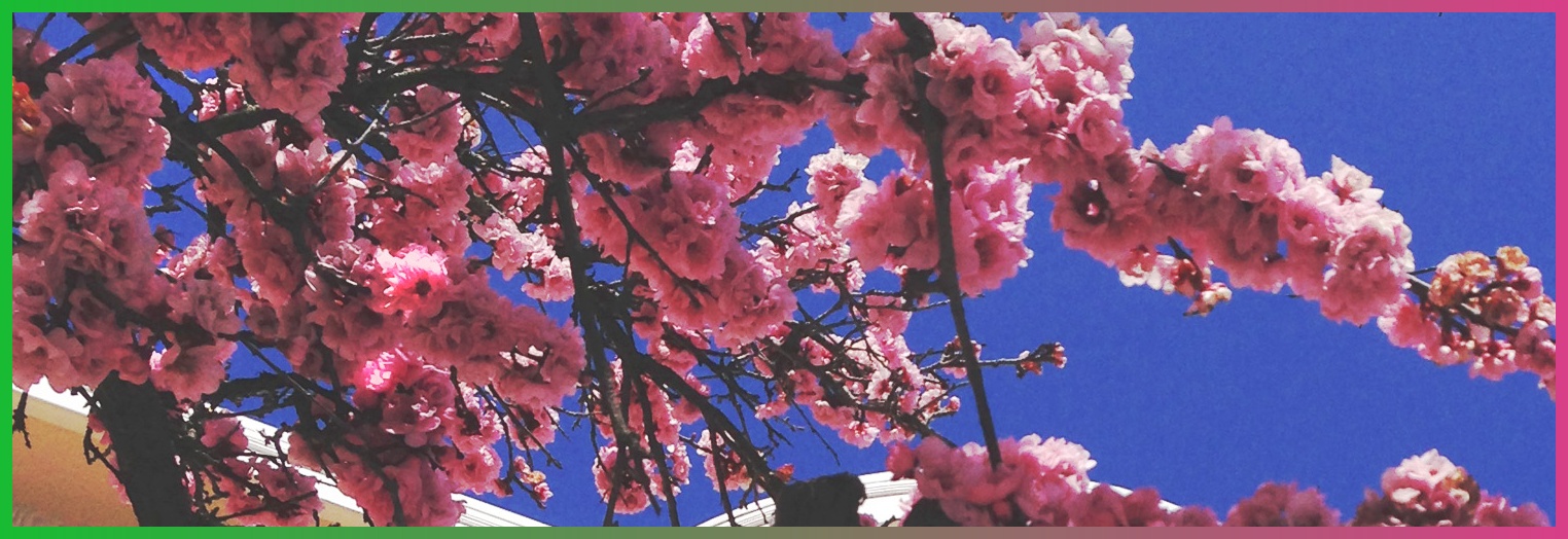 tueama4's profile banner image