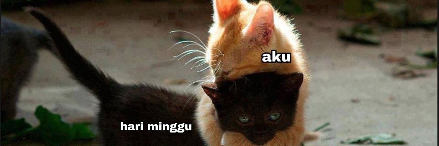 annissafajar's profile banner image