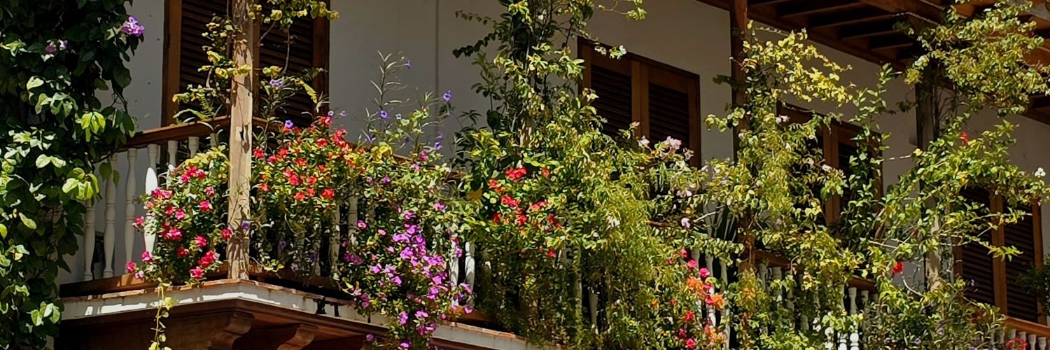 regiaposada's profile banner image