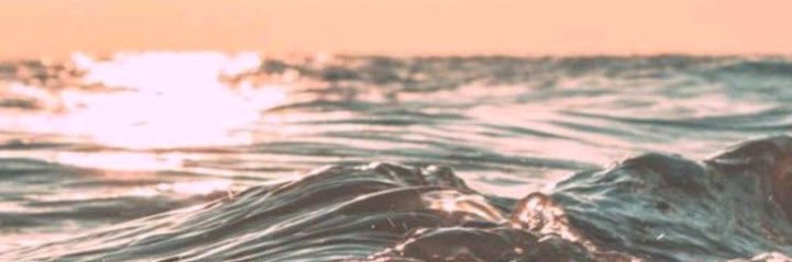 lopesmay01's profile banner image