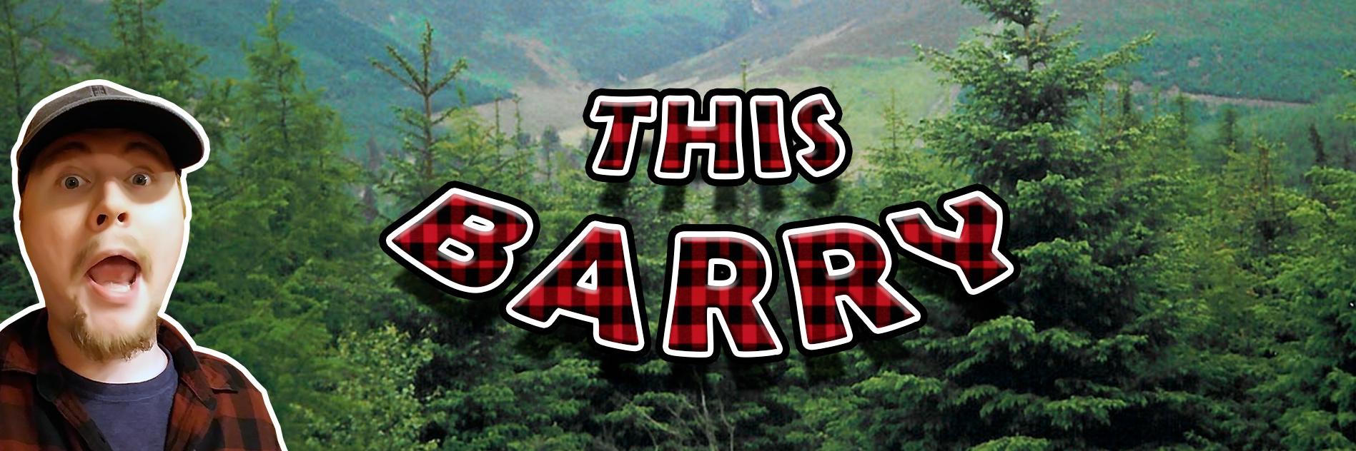 ThisBarry banner