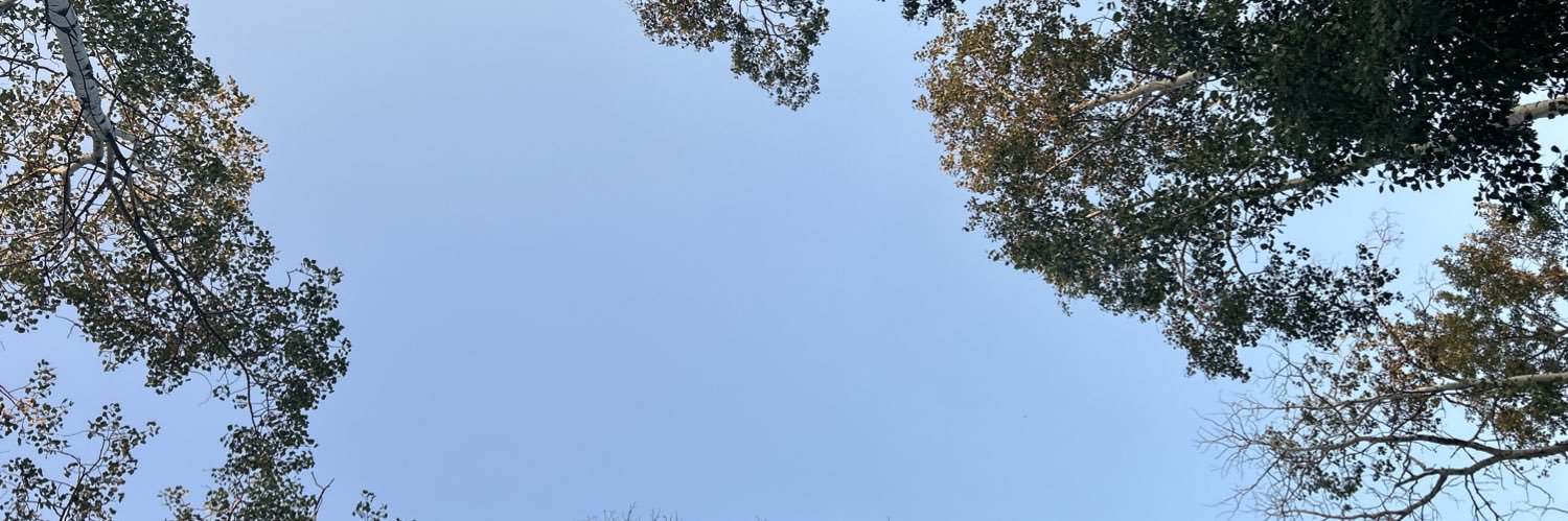 Nicole Reeve banner