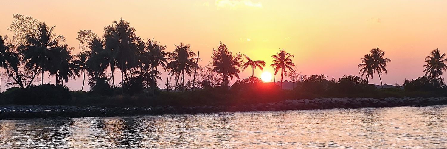 vsdhyani's profile banner image