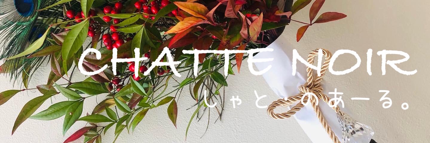 ChatteNoir5's profile banner image