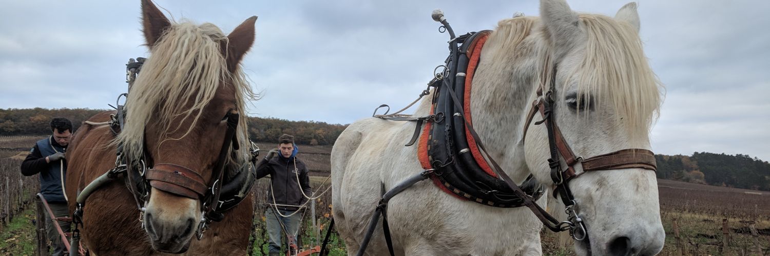 Jonathan Bryce banner