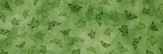 EcoCanary's profile banner image