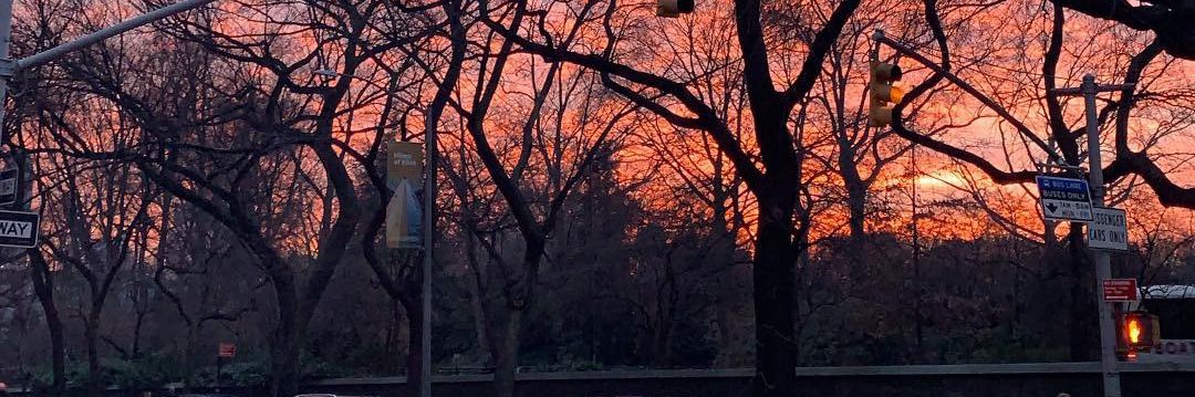 ralph_moon's profile banner image