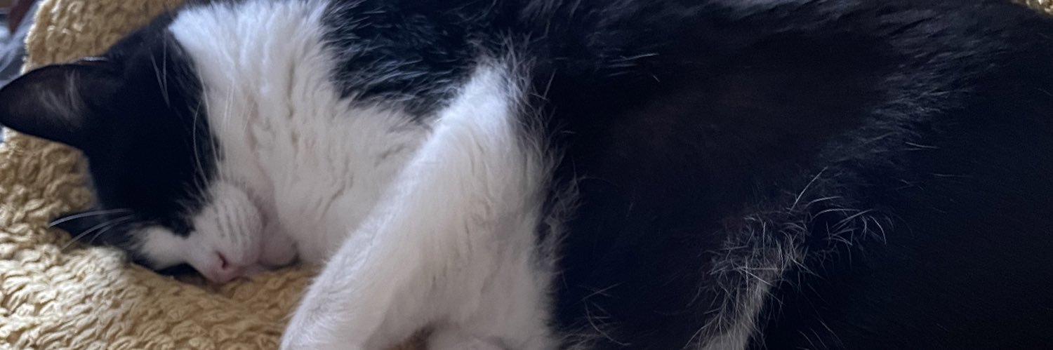 daisypunc18's profile banner image