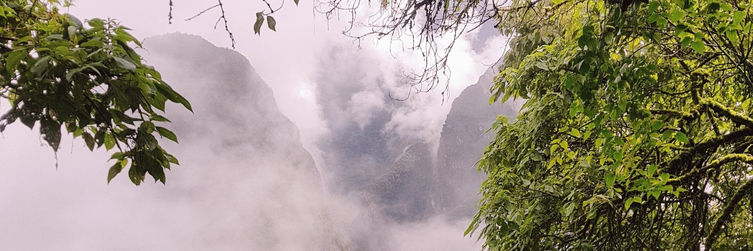 fountainbeee's profile banner image
