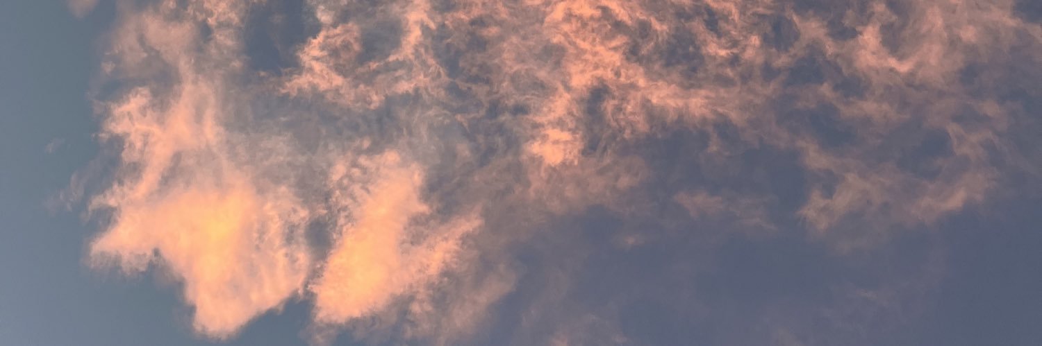EleisyS's profile banner image