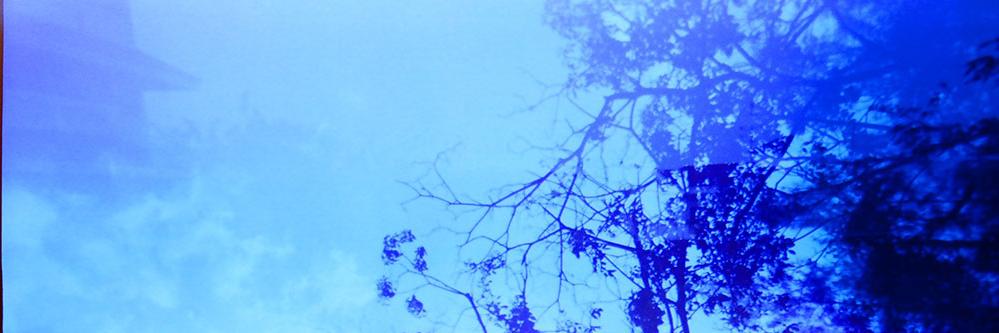 chaninz's profile banner image