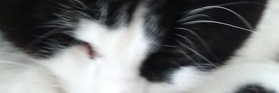 ColletJonluc's profile banner image