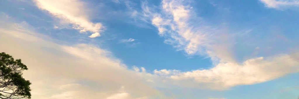 かんろ@取引垢 banner