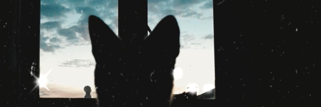 Esragkhan9's profile banner image
