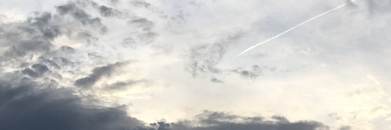 MEY3PINE's profile banner image