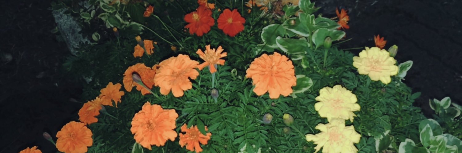 yukicook14's profile banner image