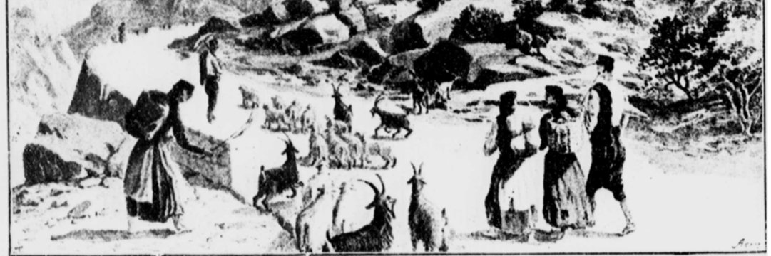 Dr Ross Cameron banner