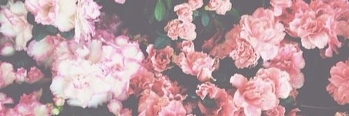 Zerinss's profile banner image