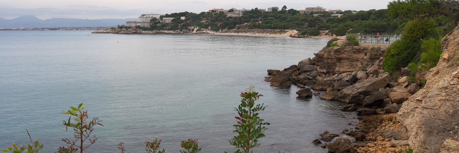 moisesnosa's profile banner image