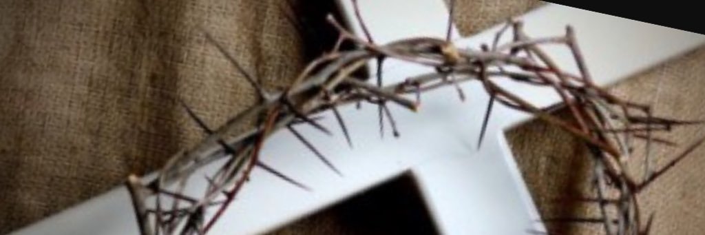 Stoned_Nation's profile banner image