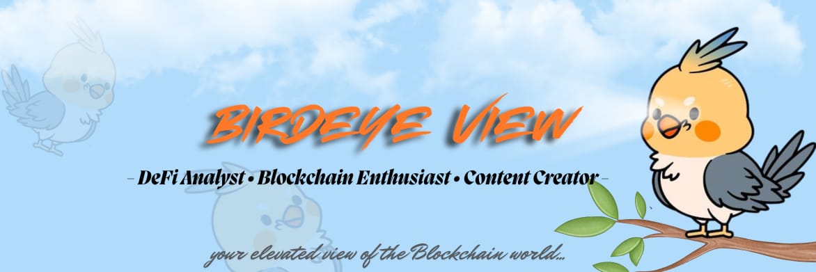 birdeye44's profile banner image