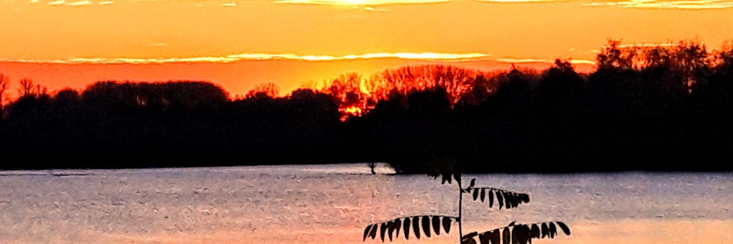 HeidiSigrid's profile banner image
