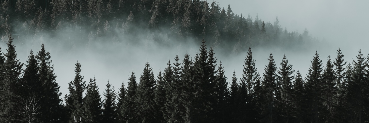 Waraich_PS banner
