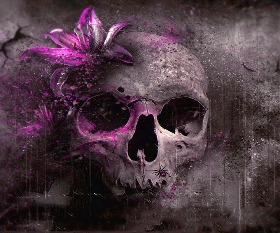beestoothebop's profile banner image