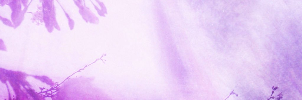 kookakai's profile banner image