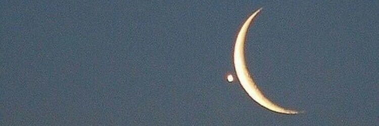 N. banner