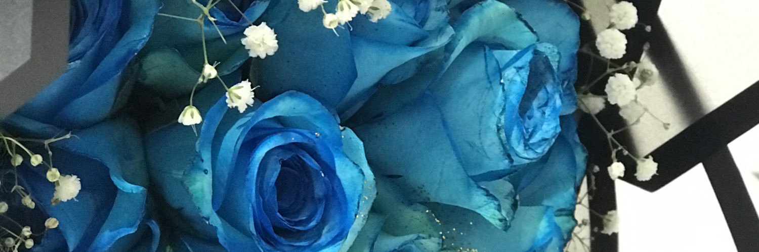 mno88o's profile banner image