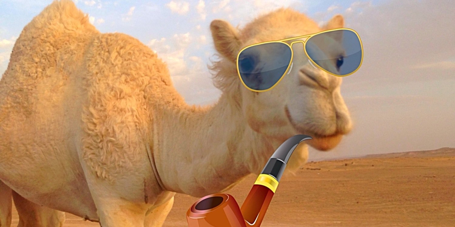 fatasahba's profile banner image
