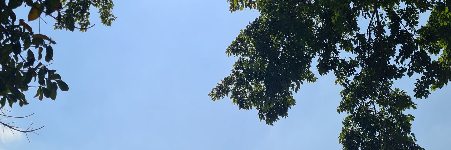 cijeui's profile banner image