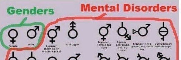 oldgoodrebel ❤🧠🏴‍☠️misantropo politico banner