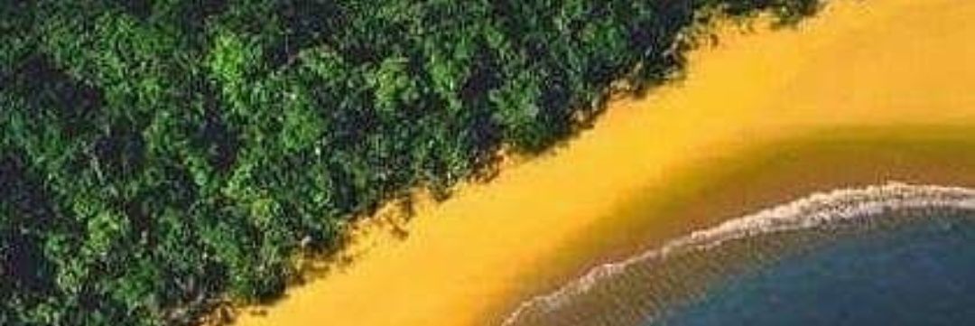 LeneLopesTimte1's profile banner image