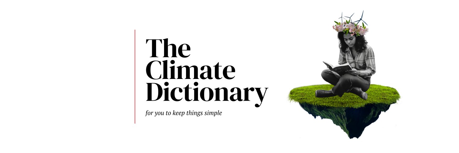 Rebecca Carman banner