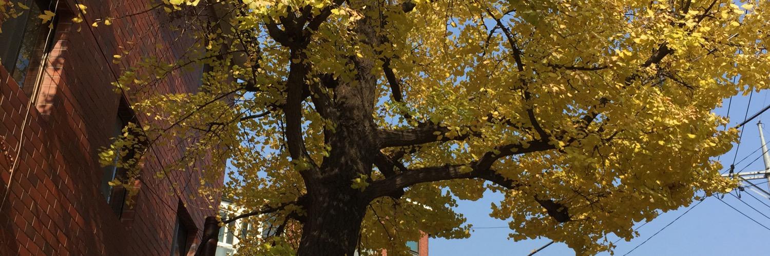able2u's profile banner image