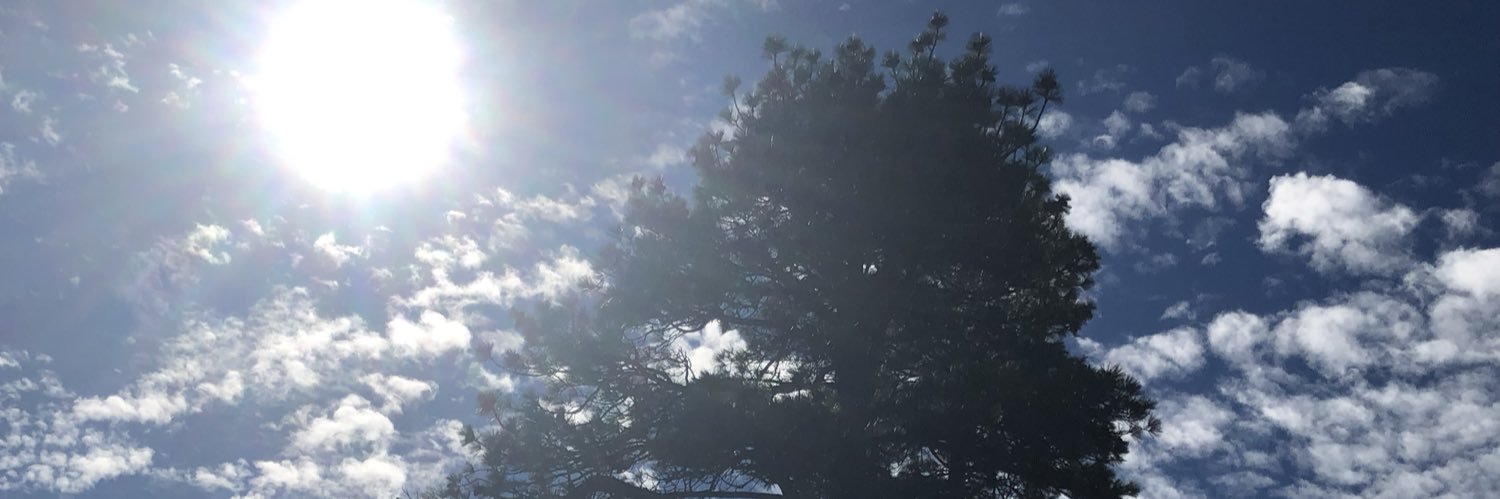 heyToeKnee's profile banner image
