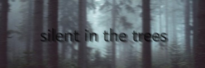 majed_605's profile banner image