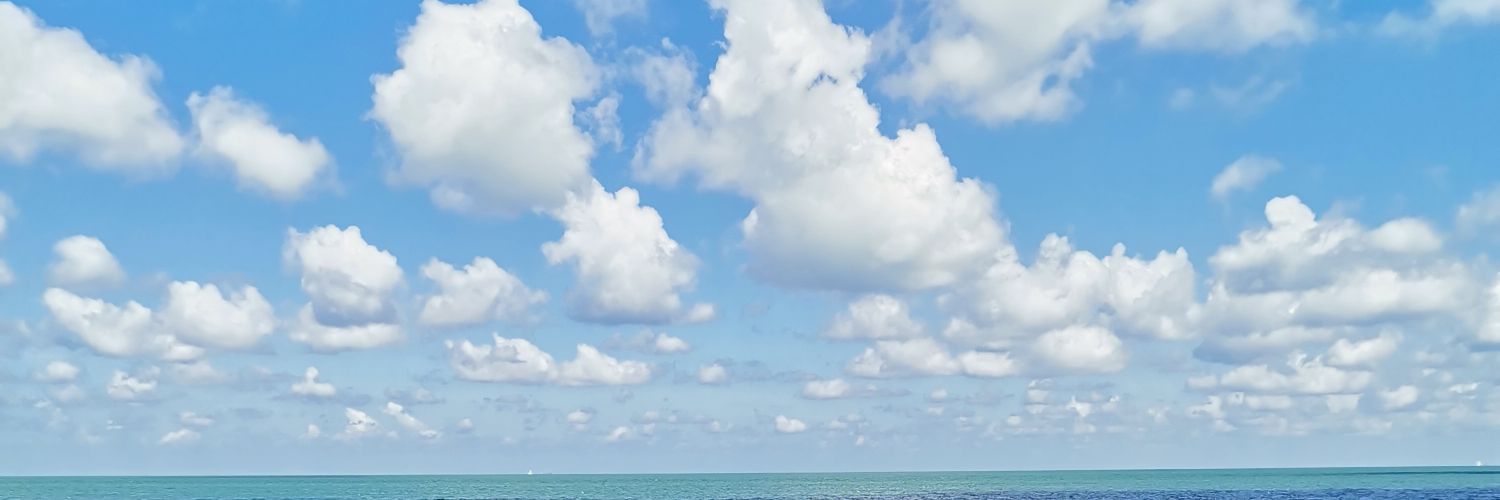 blackfazua's profile banner image