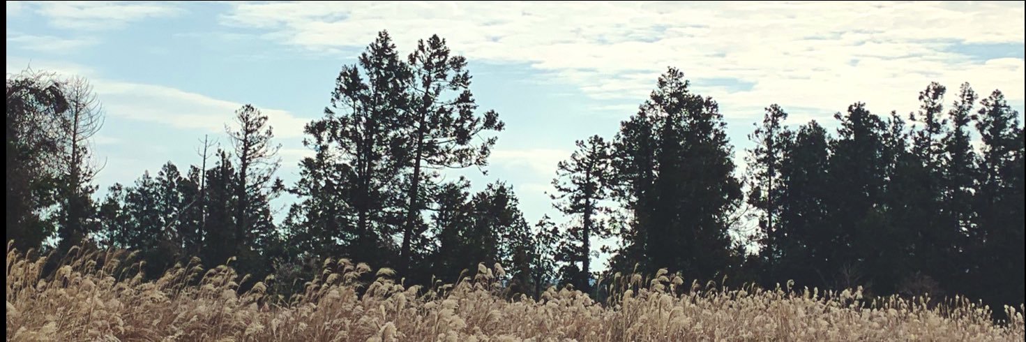 yr_eon's profile banner image