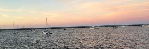 DeniseIgnatows1 Profile Banner